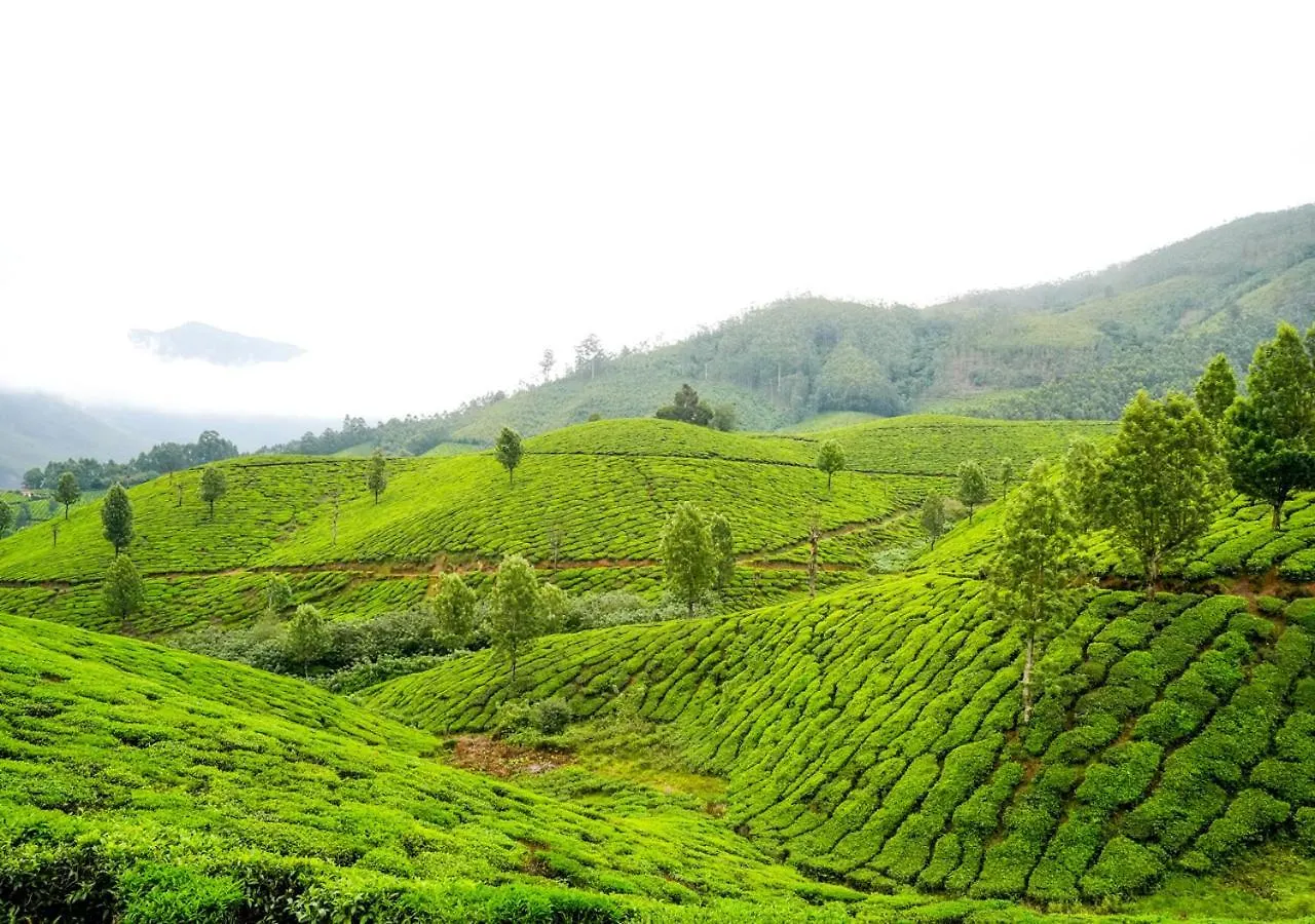 Arivikad Tea Bungalow Munnar By Voye Homes Suryanelli Villa