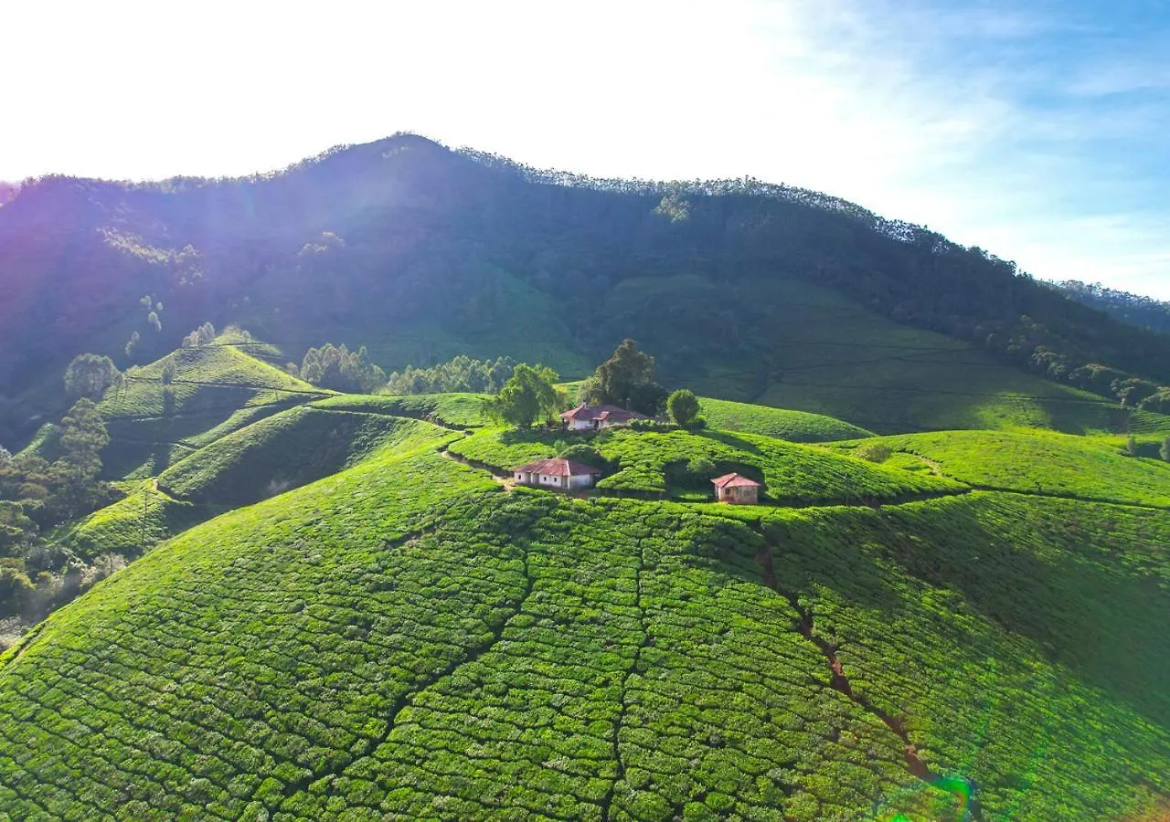 Arivikad Tea Bungalow Munnar By Voye Homes Suryanelli Willa